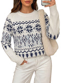 Festive Geometric Print Round Neck Shift Sweater